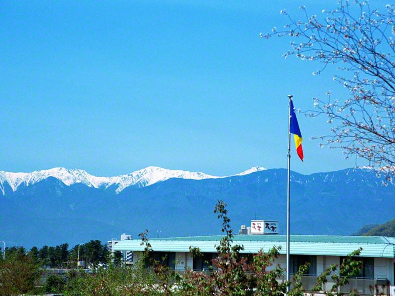 immagine di copertina